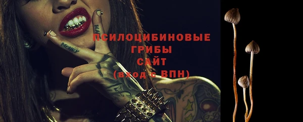 ПСИЛОЦИБИНОВЫЕ ГРИБЫ Белокуриха