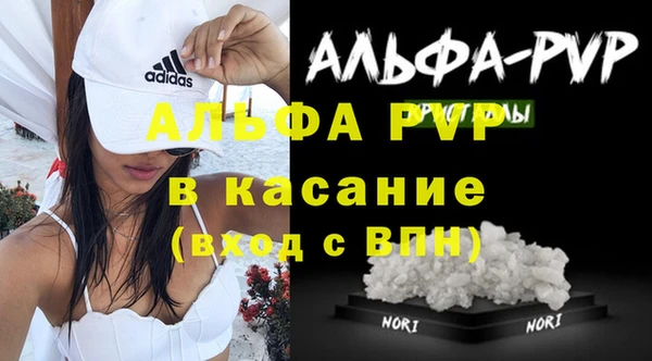 ПСИЛОЦИБИНОВЫЕ ГРИБЫ Белокуриха